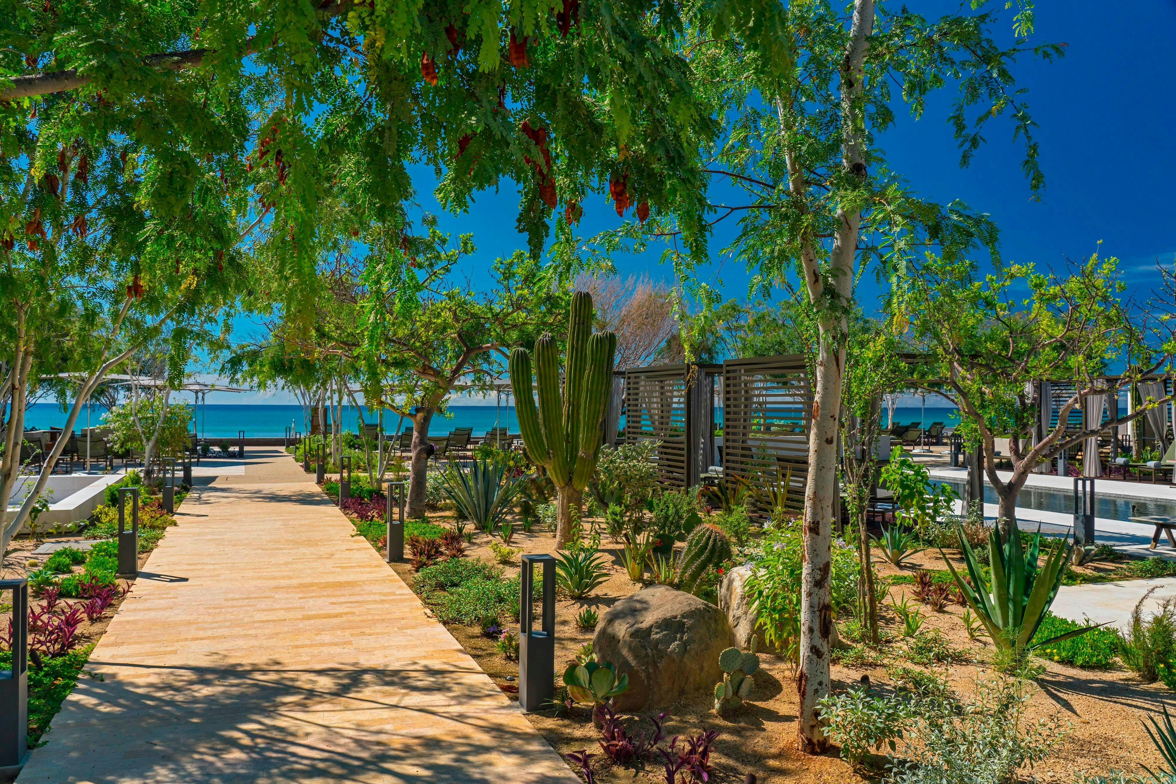 Solaz A Luxury Collection Resort Los Cabos 20/30