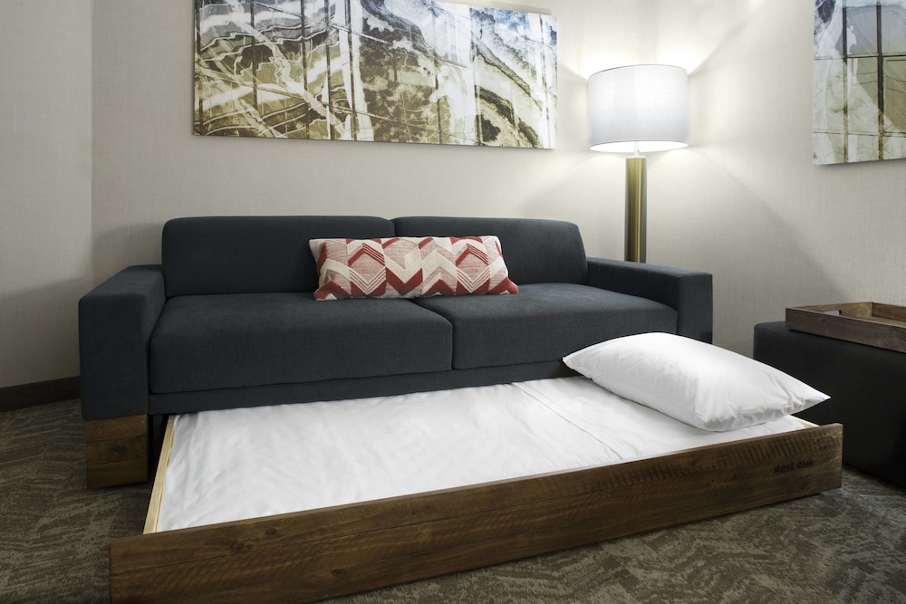 Springhill Suites By Marriott Kansas City Lenexa City Center 23/32