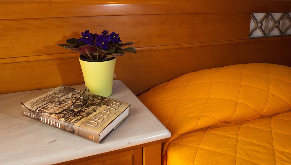 Acropole Delphi Hotel 38/73