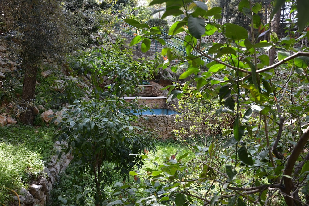 MONTEVERDE HOTEL 60/64