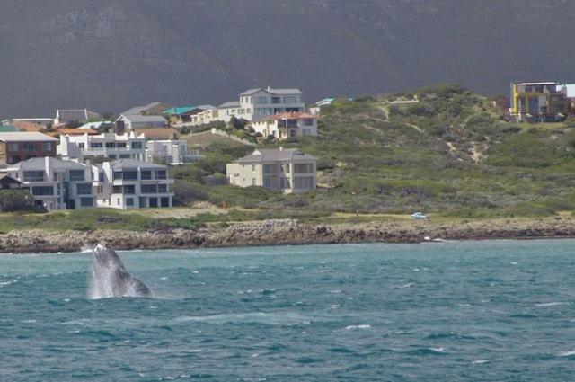Crayfish Lodge Sea & Country Guest House 34/47
