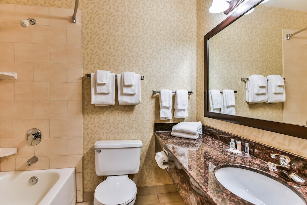 Comfort Inn & Suites Ambassador Bridge 13/39