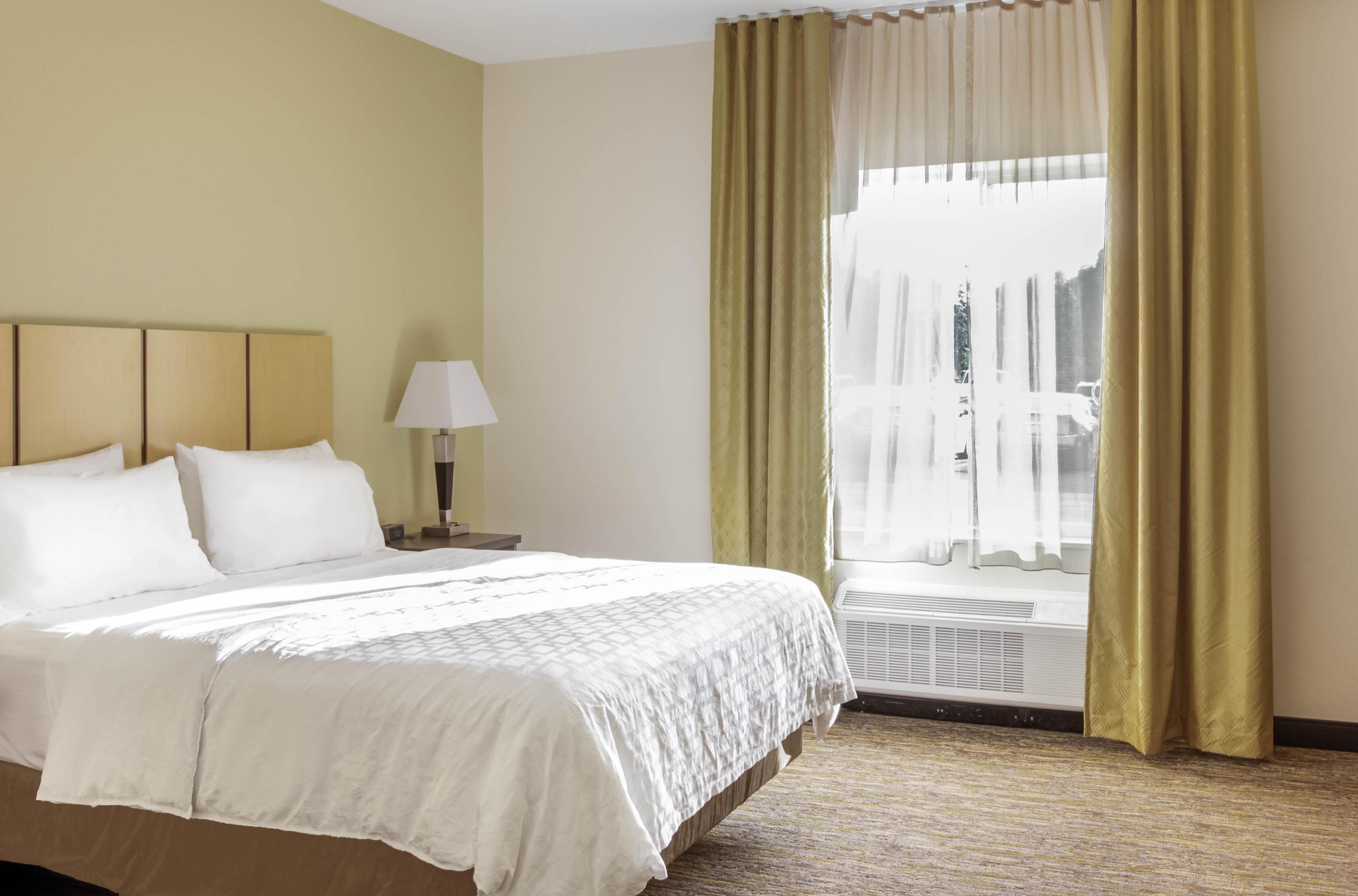 Studio, 2 Queen Beds, Accessible
