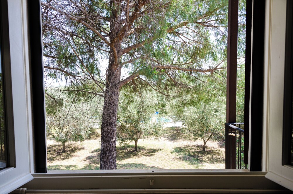 Agriturismo la Fragolaia 30/50