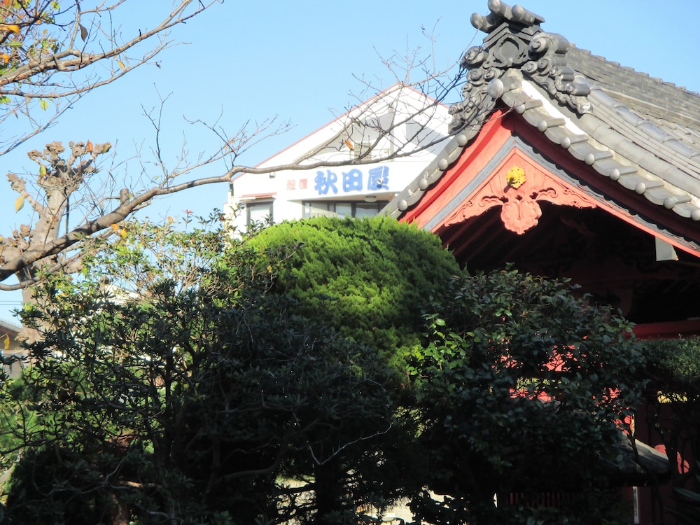 Akitaya 10/63