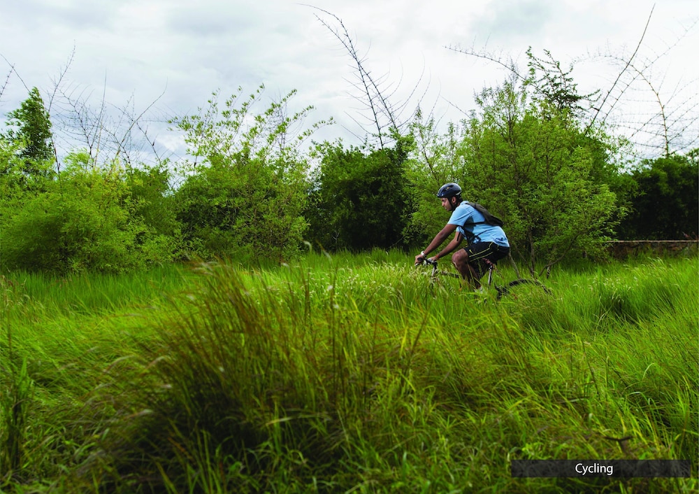 The Serai Chikmagalur 33/45