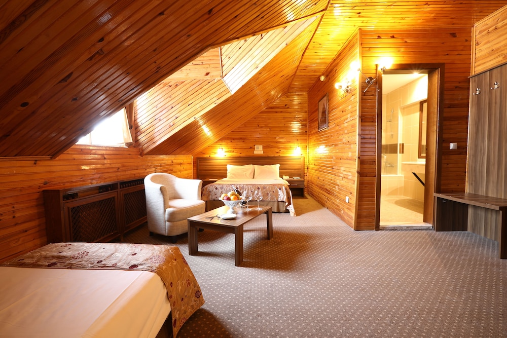 Dedeman Palandoken Hotel 17/50