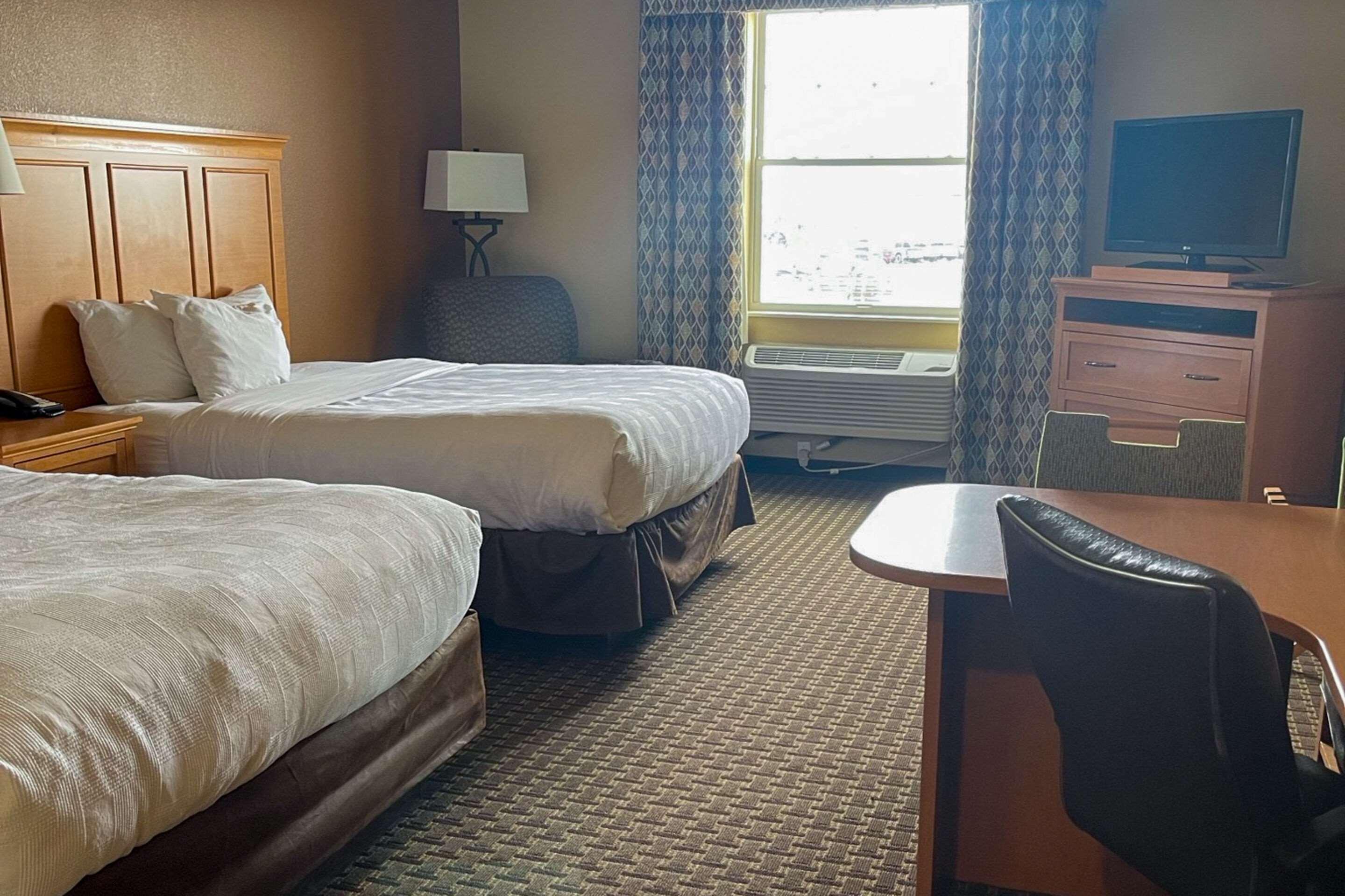 Suite, Queen Bed