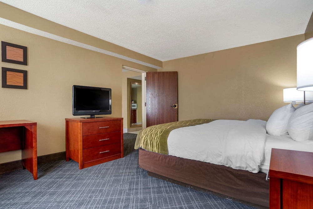 Comfort Inn Baton Rouge 11/33