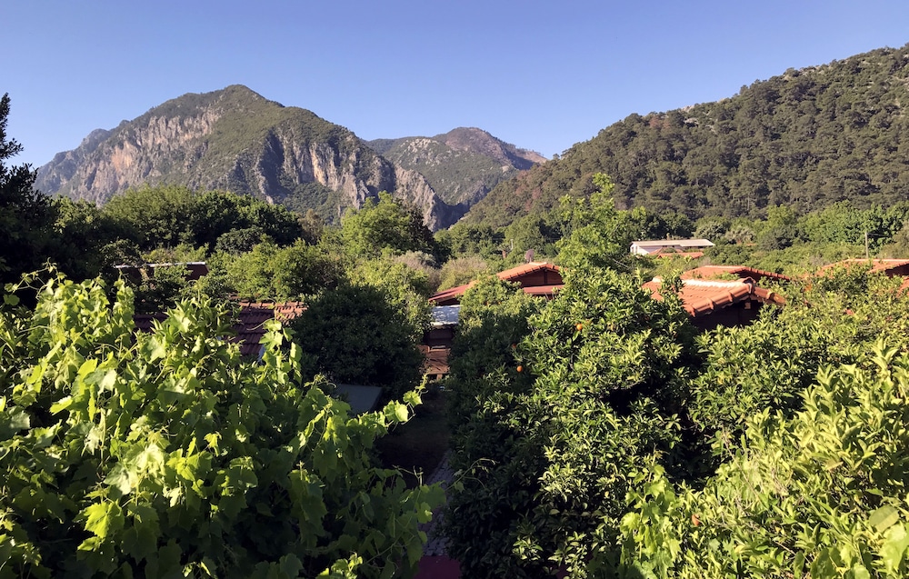 Baris Pension & Bungalows 36/50