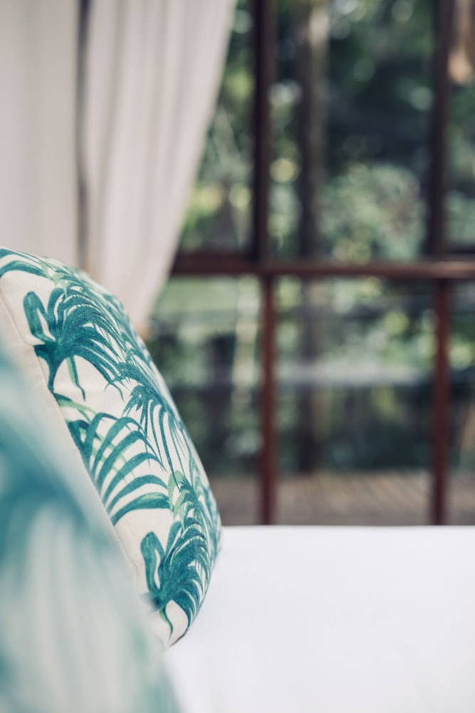 Daintree Wilderness Lodge 9/34