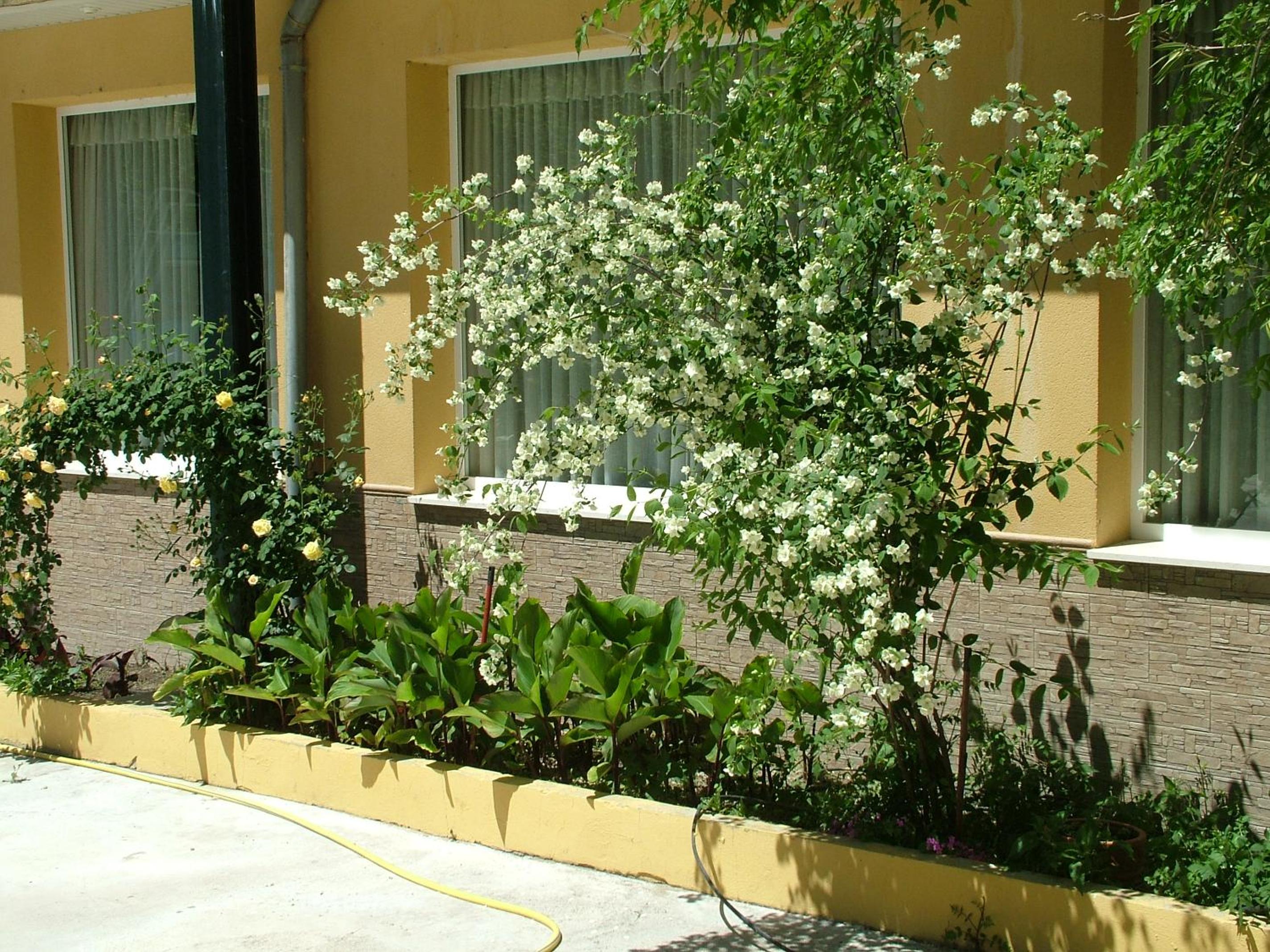 Hotel Río Piscina 68/75