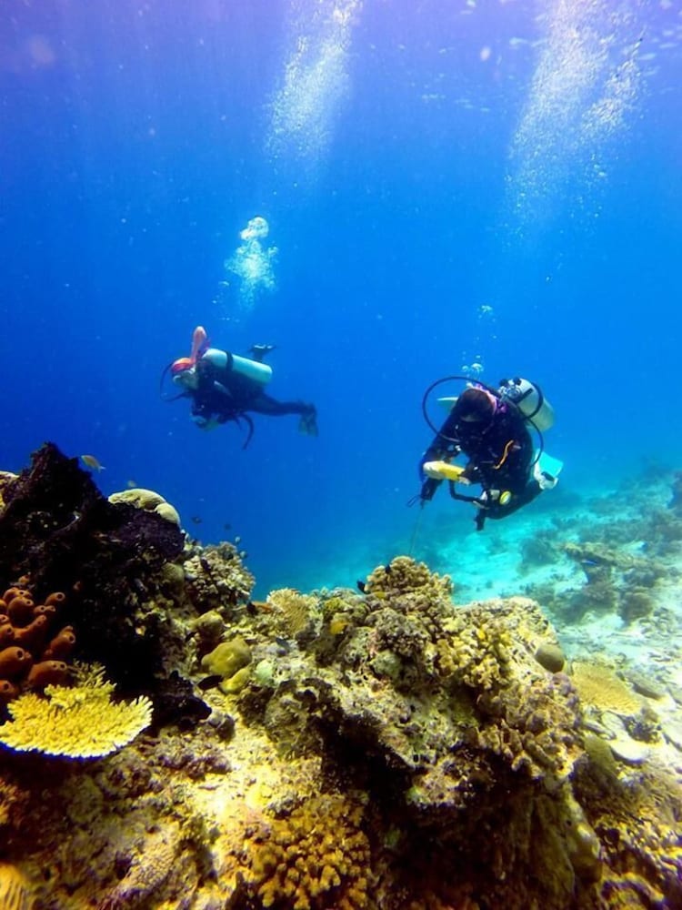 Scuba Tiger Semporna Holiday Resort 41/50