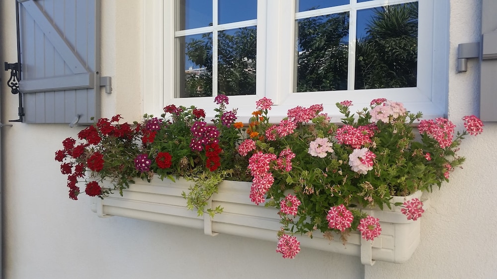 B&B Villa Blanche 37/50