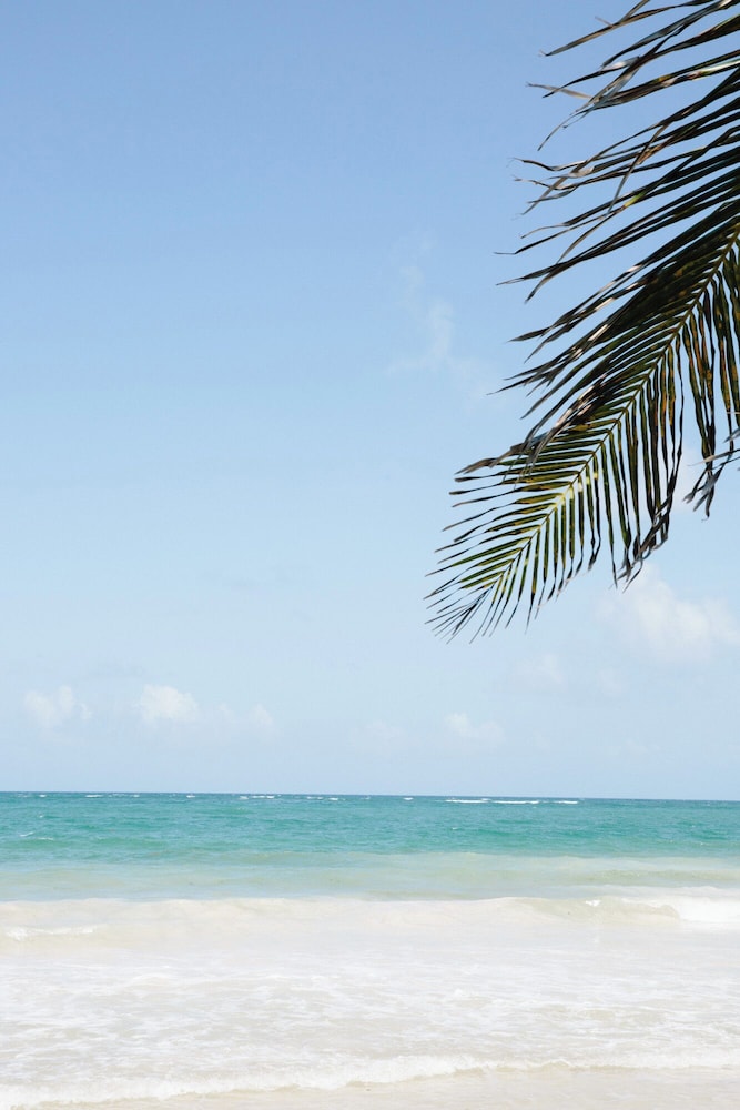 Olas Tulum 39/56