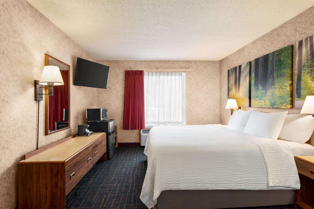 Studio, Suite, King Bed