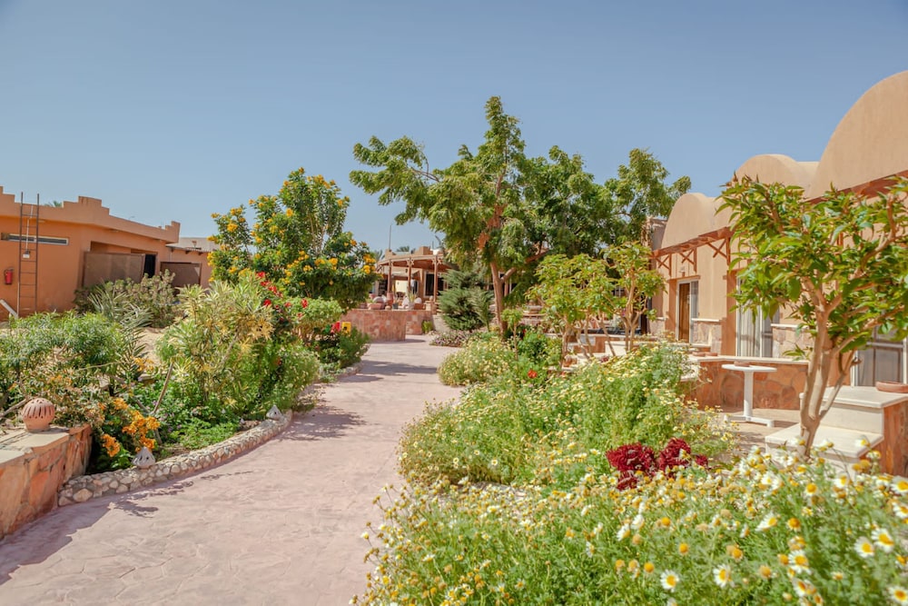 Silver Beach Redsea Resort - Adults Only 45/50