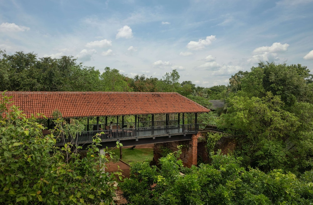 Sigiriya Jungles 4/50