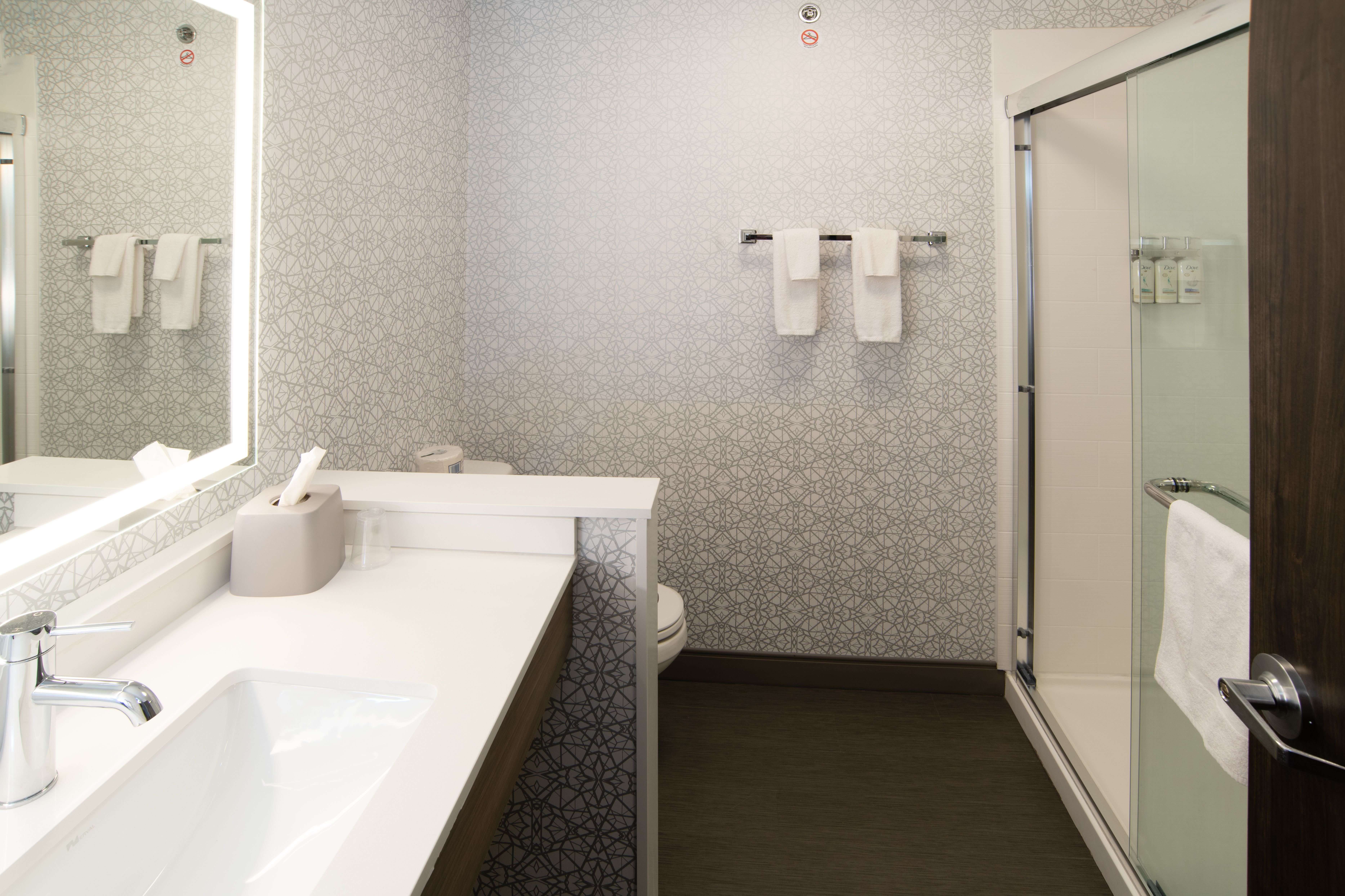 Holiday Inn Express & Suites - Moose Jaw an IHG Hotel 43/49