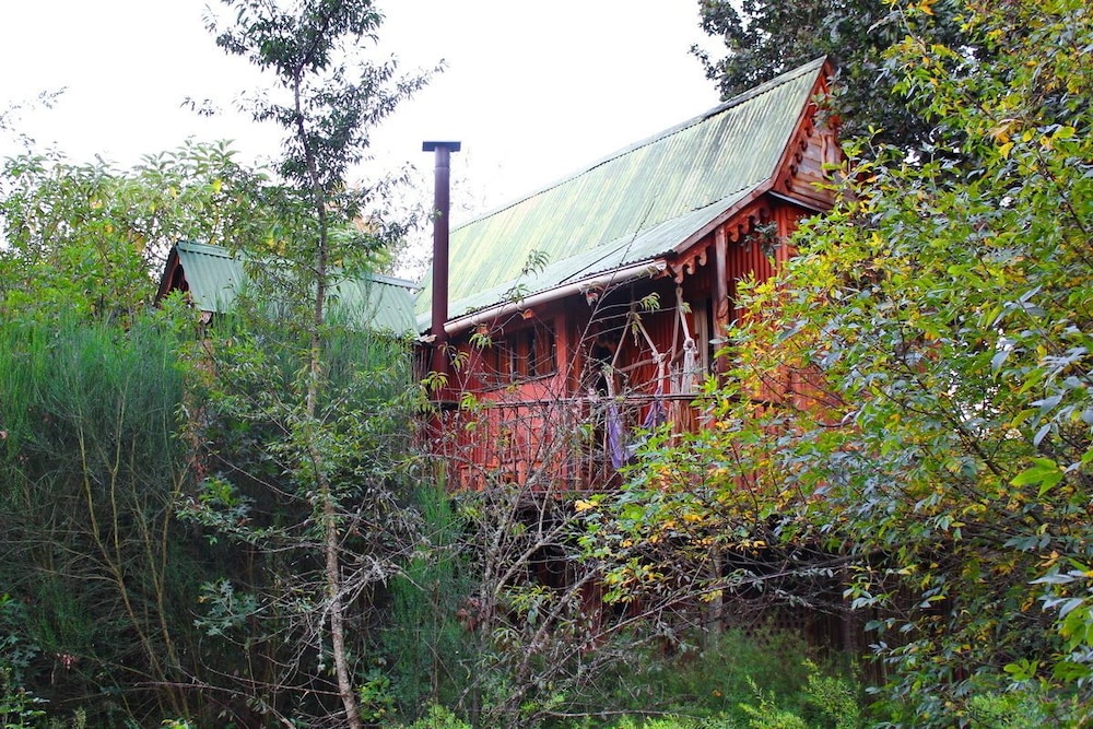 Sycamore Avenue Treehouses 8/50