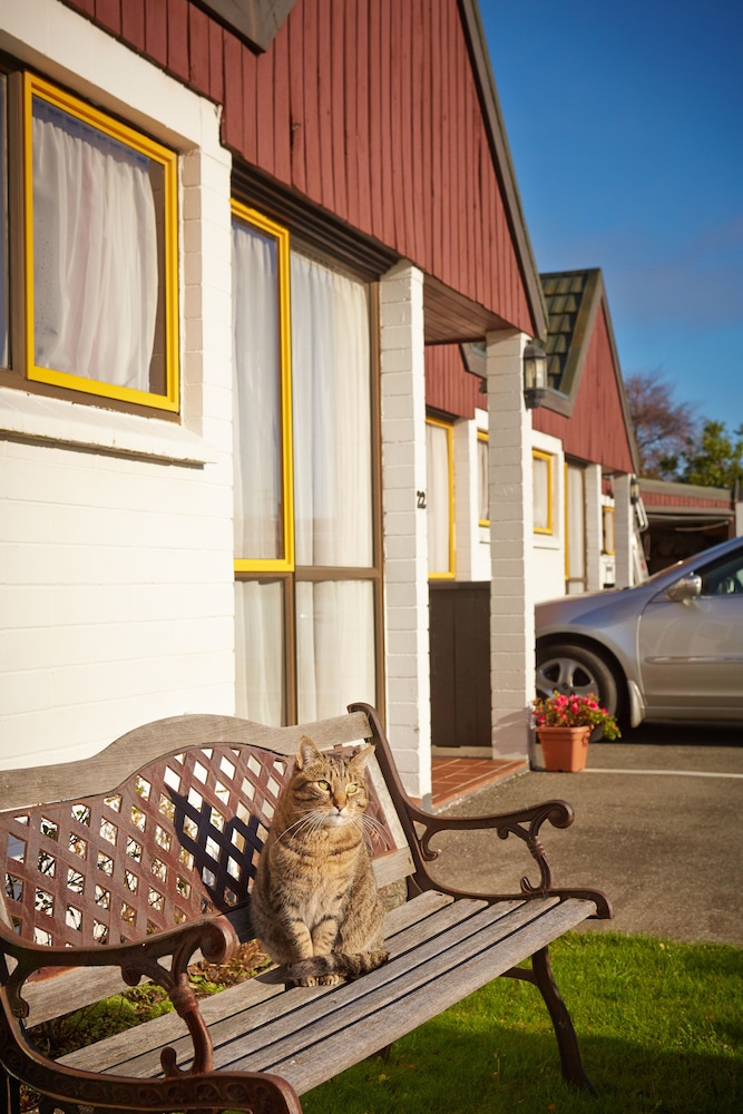 Bavarian Motel 16/42