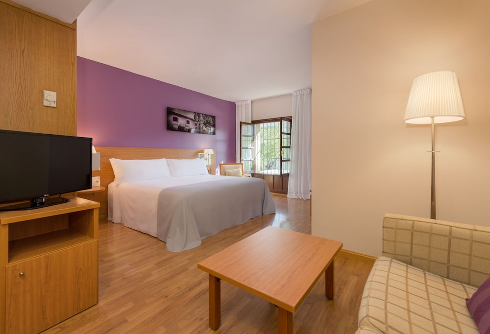 Hotel Jerez Centro 19/50
