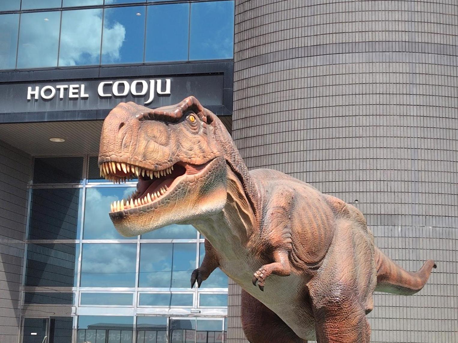 Hotel Cooju Fukui 34/61