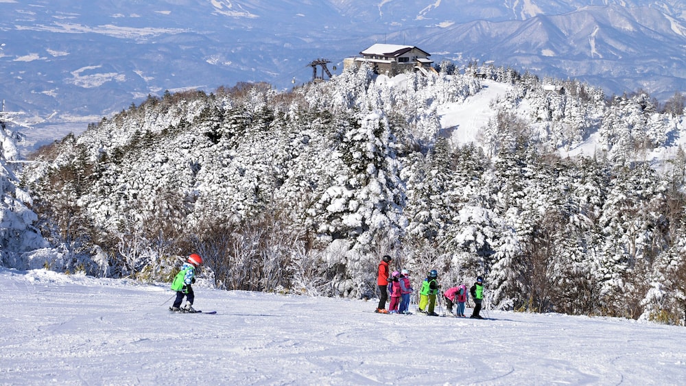 Hotel Ichinose 27/50