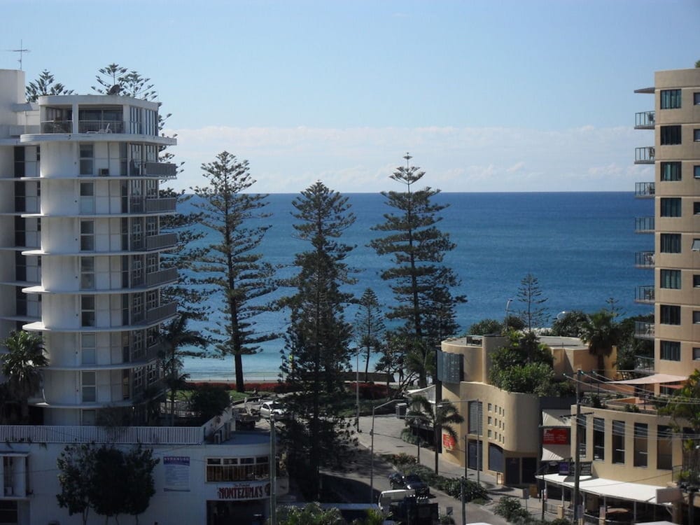 Pandanus Mooloolaba 写真2