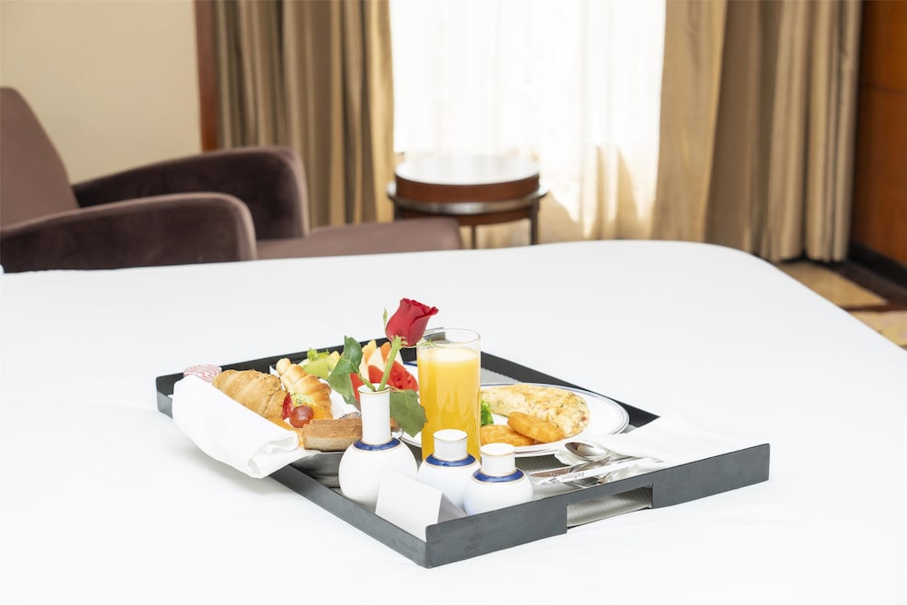Radisson Blu Plaza Hotel Delhi Airport 56/76