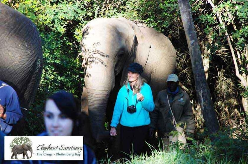 Elephant Country Guest House 1/19