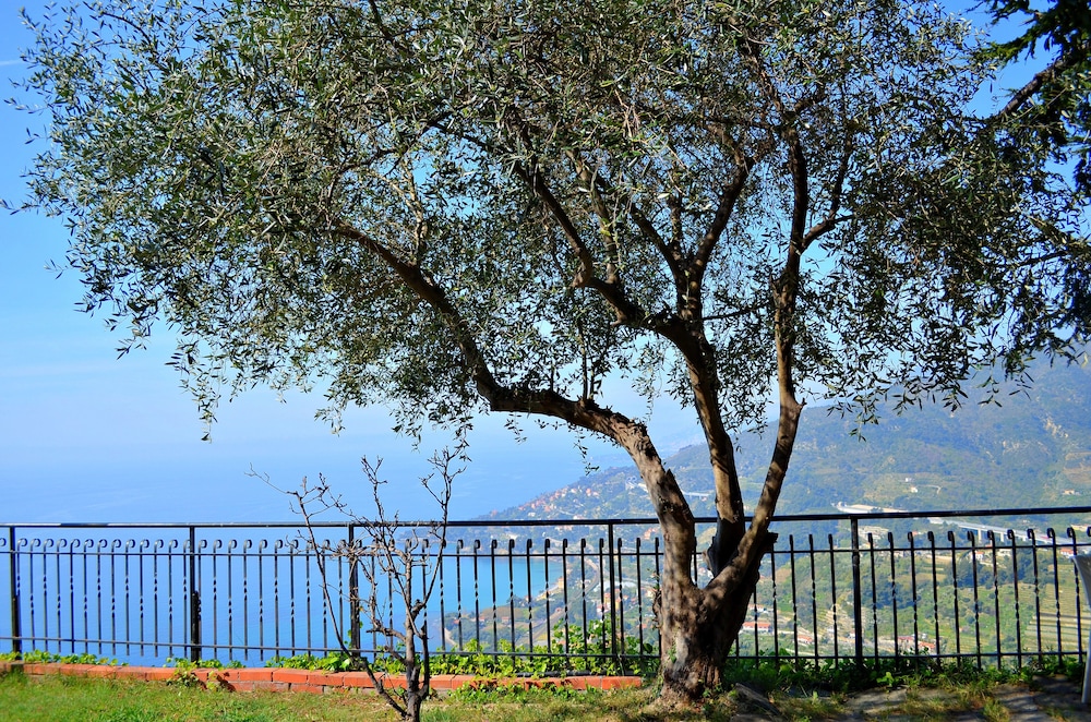 La Riserva Di Castel D'appio 33/37