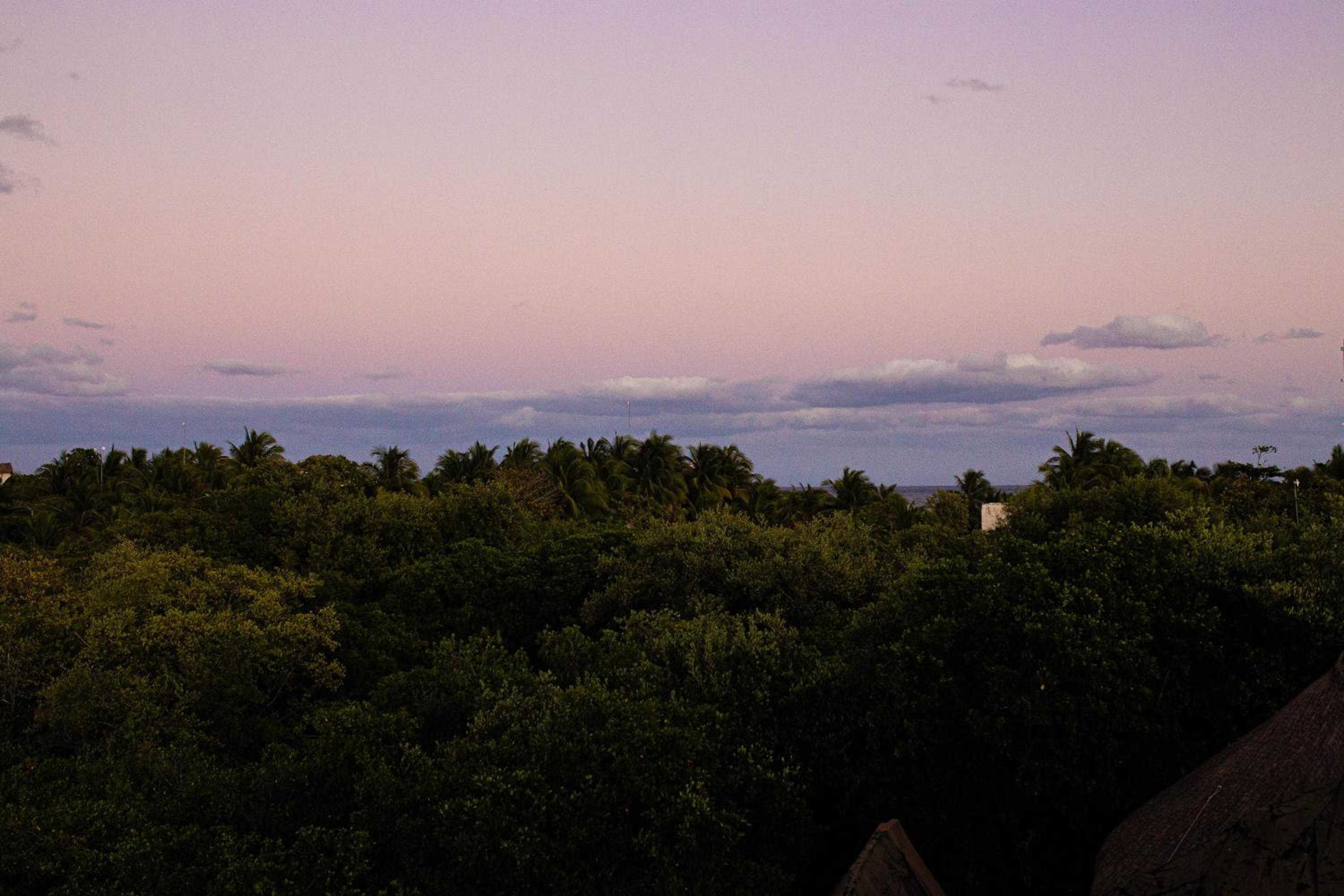 Mamasan Treehouses & Cabins 36/50
