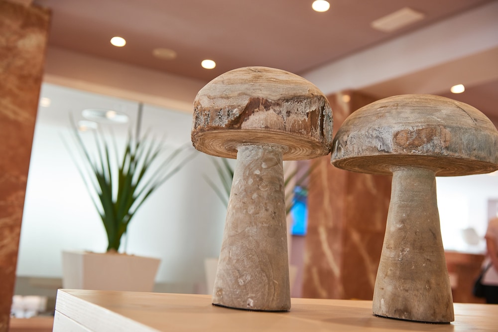 Protur Bonamar Hotel - Adults Only 9/43