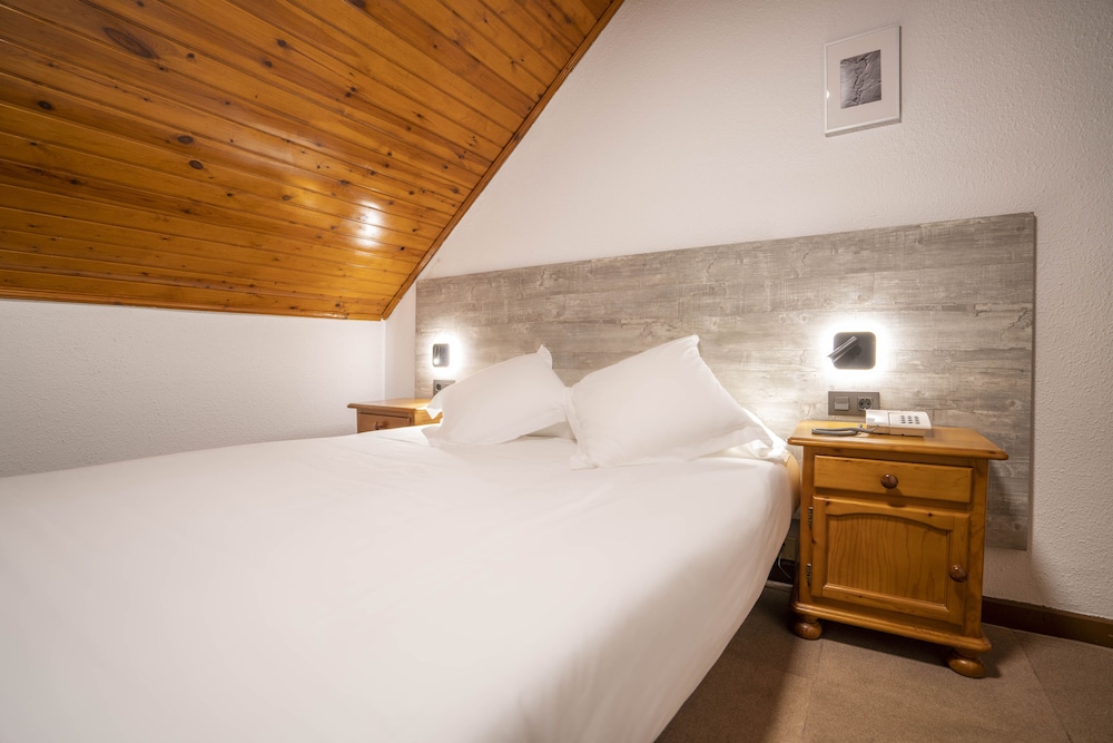 Hotel Pena 19/50