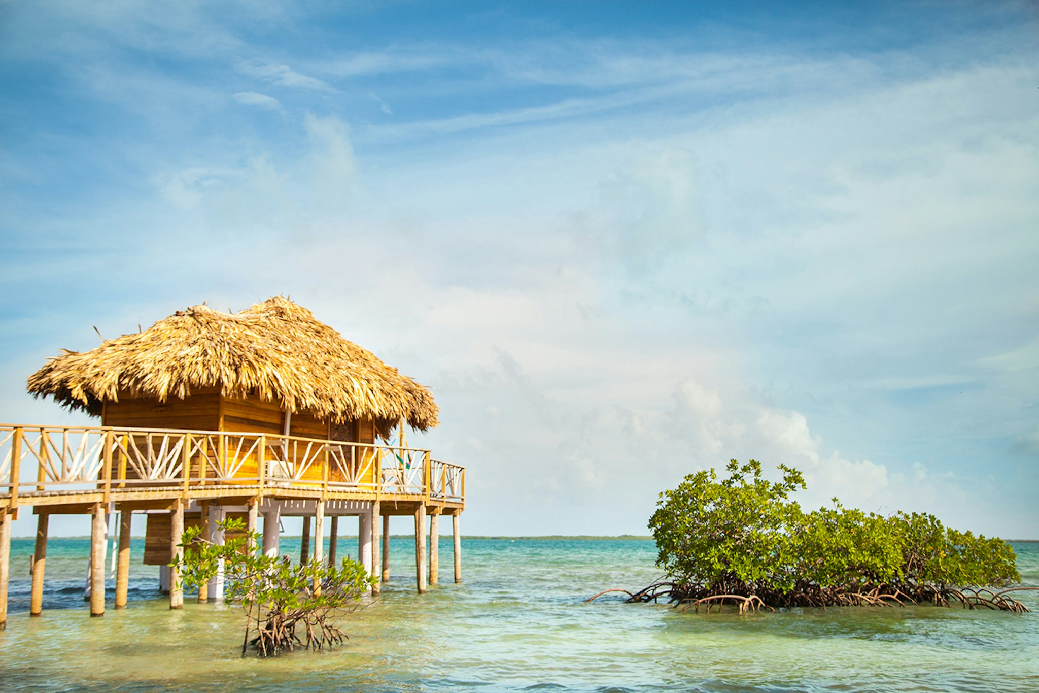 Thatch Caye 2/3
