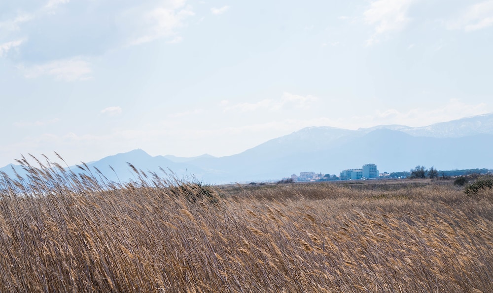 Ibis Styles Perpignan Canet-En-Roussillon 42/50