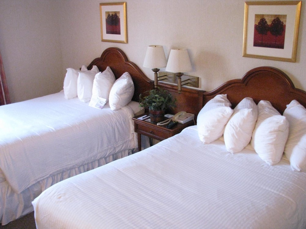 Mcm Elegante Suites 18/59
