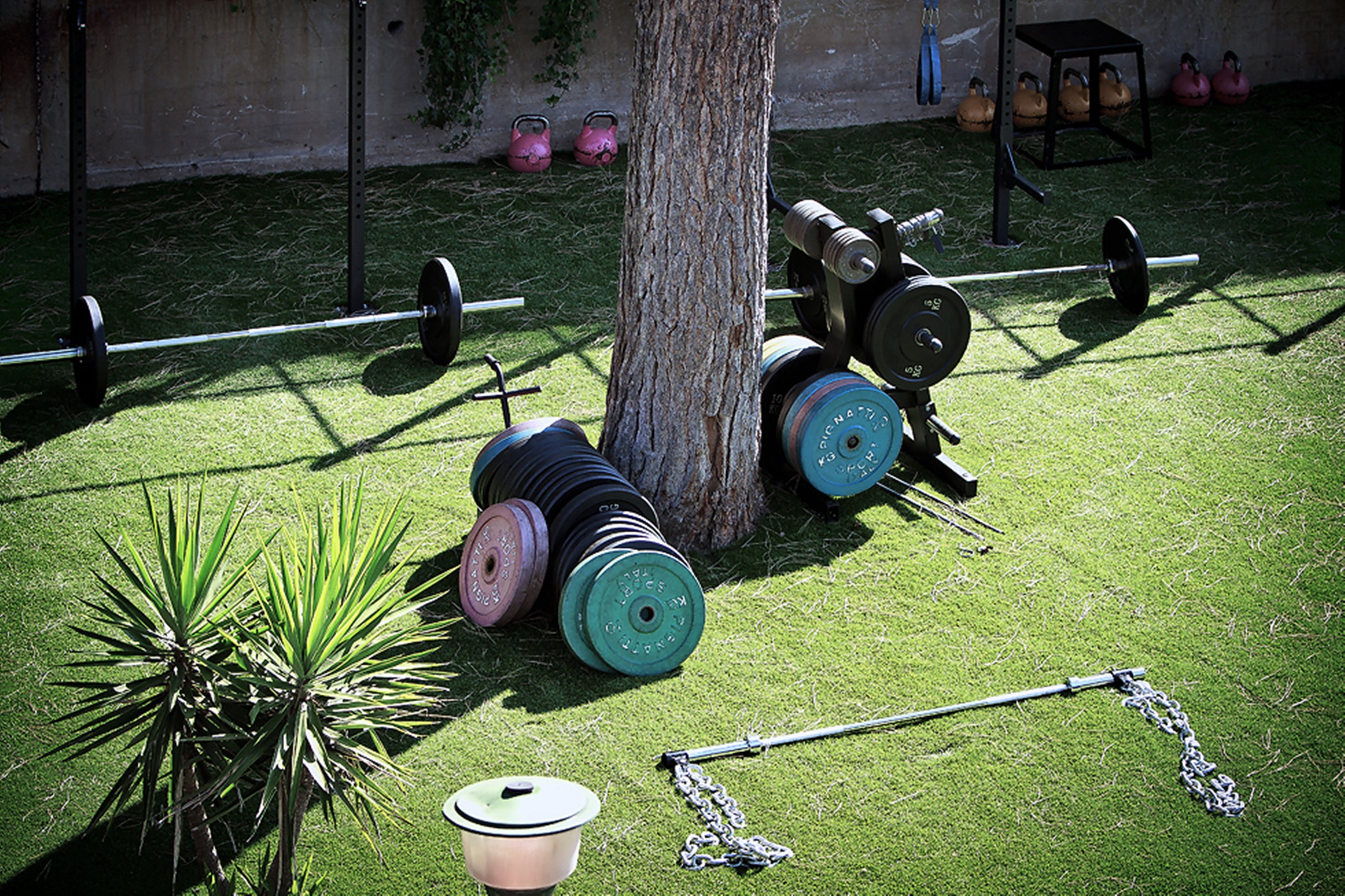All Time Sport And Relais 31/35