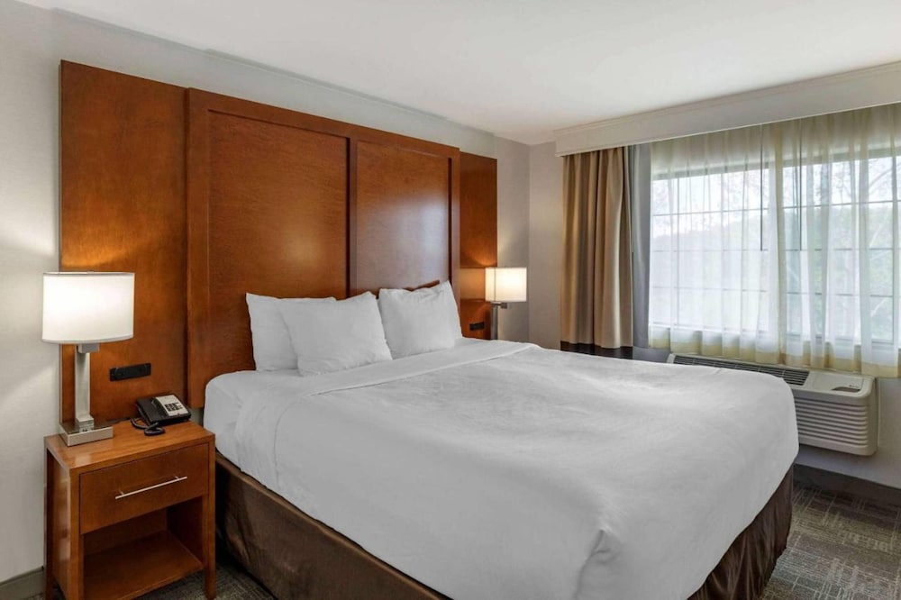 جناح بسرير كينج مع أريكة، Comfort Suites At Evergreen Parkway 6/10
