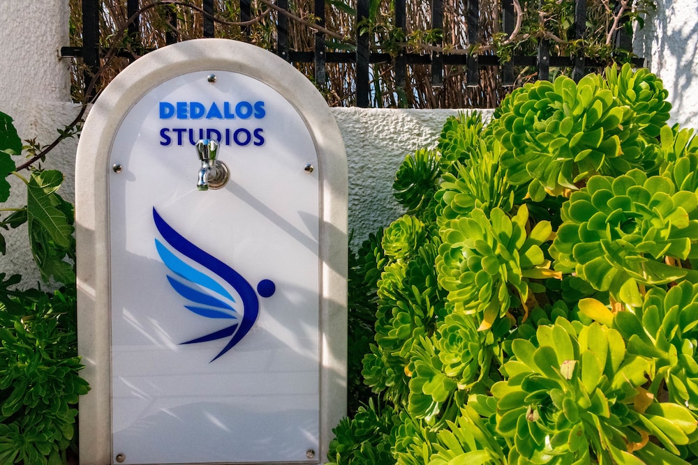 Dedalos Studios Naxos 24/50