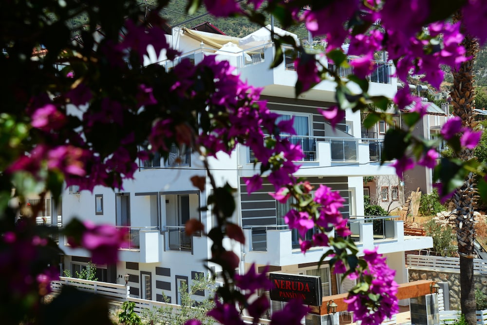 Neruda Pension 36/43