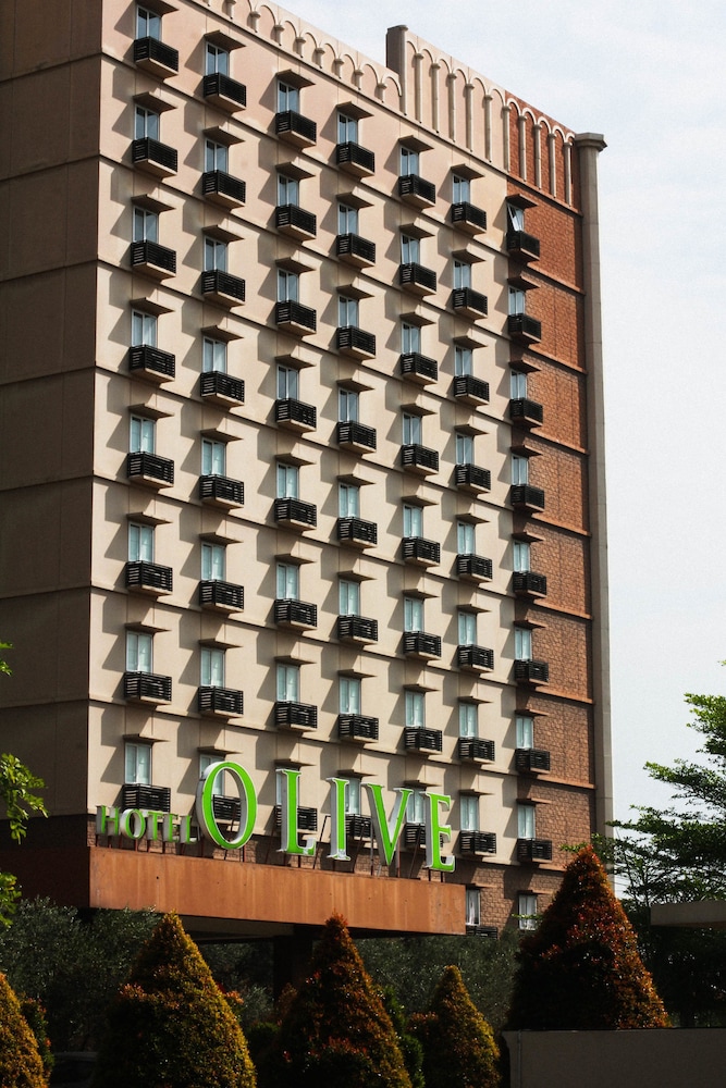 Hotel Olive 3/52