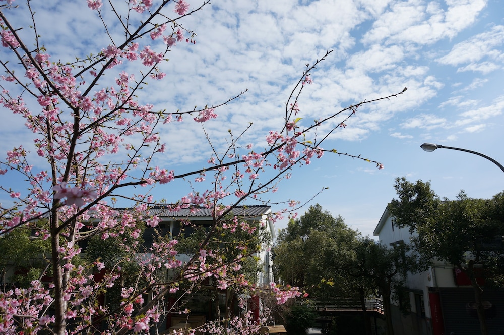 Sanyi Happiness B&B 60/70