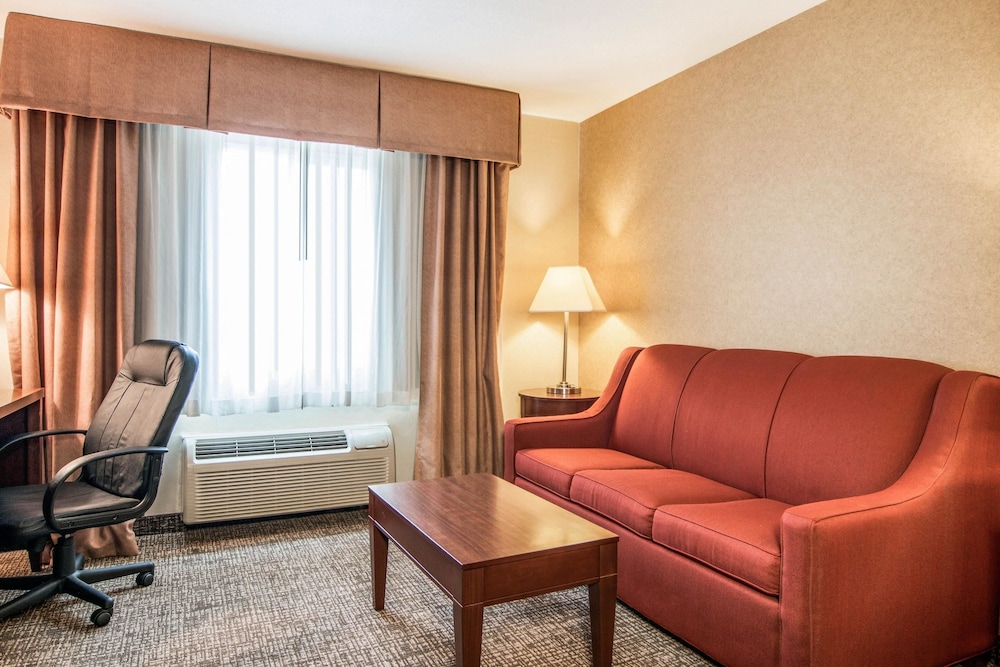 Comfort Inn & Suites Vancouver Downtown City Center 35/48
