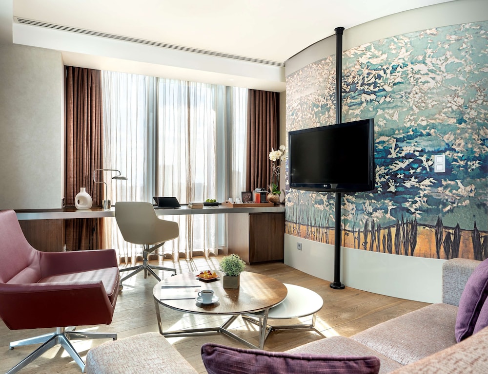 Radisson Blu Hotel Istanbul Asia 41/79