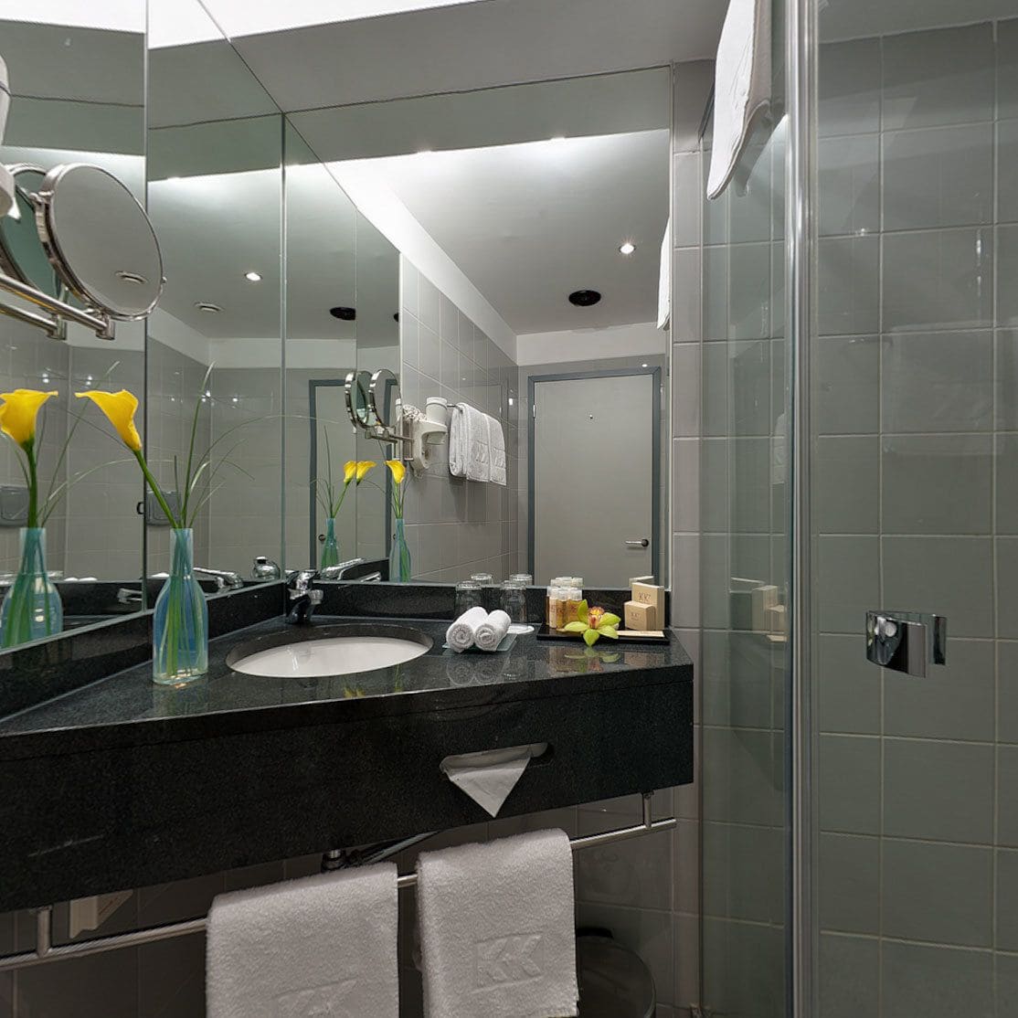 Cozy, Urban, Queen Bed، PeakTure Hotel Bucharest 6/6