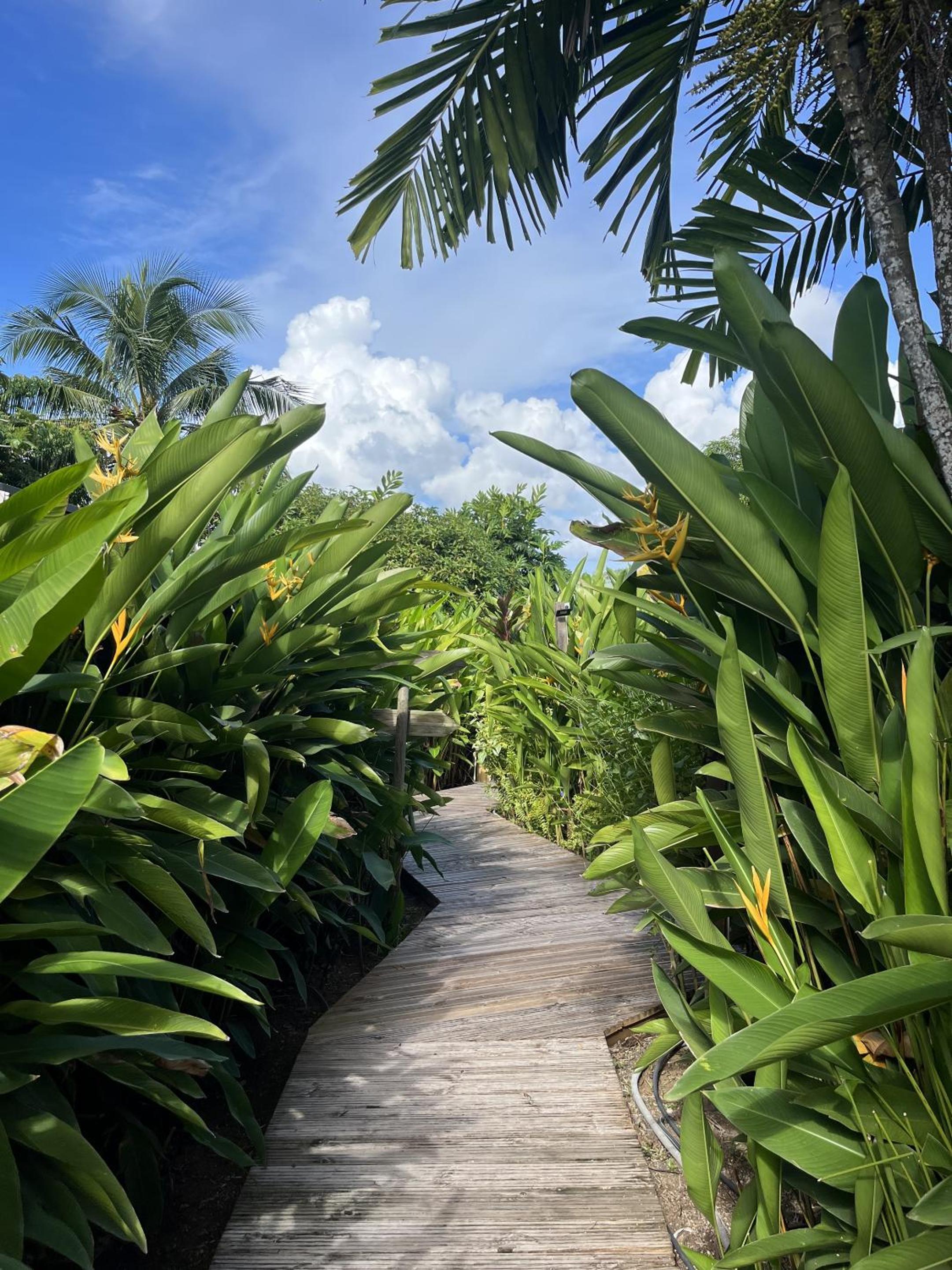Eden Paradise Spa Ecolodge 30/52