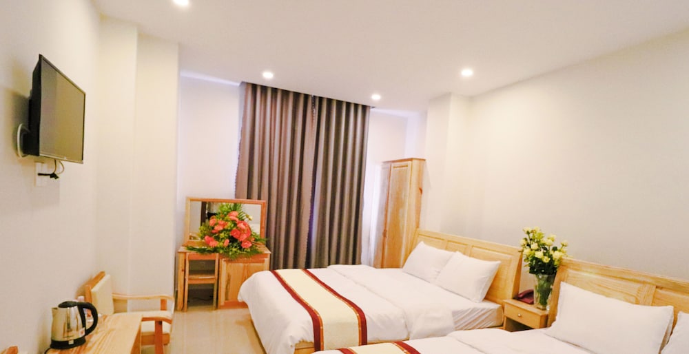 Mai Hoang Hotel 38/70