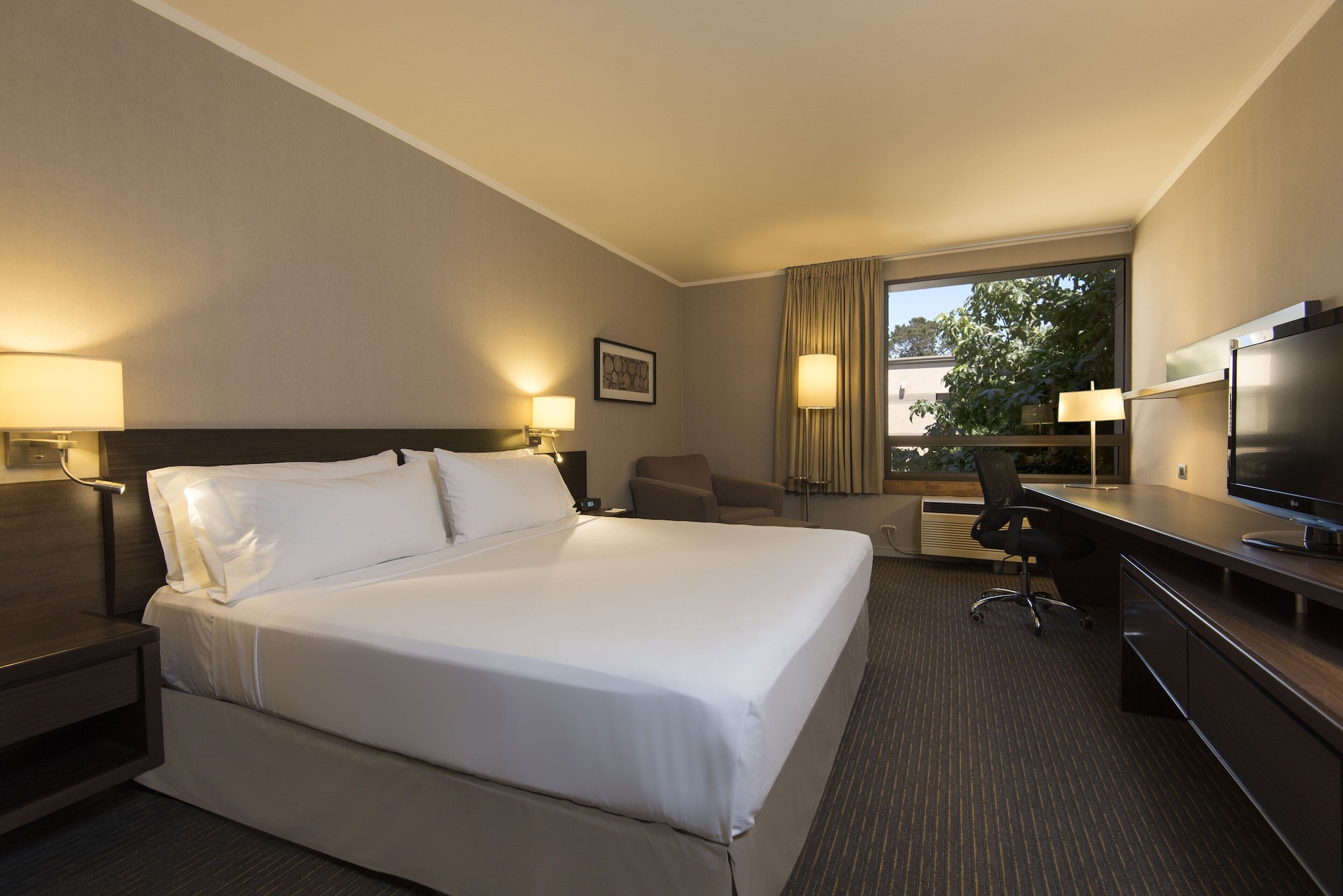 غرفة قياسية بسرير كينج، HOLIDAY INN EXPRESS TEMUCO 3/10